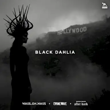 Black Dahlia