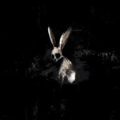 Follow the White Rabbit