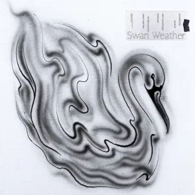 Swan Weather