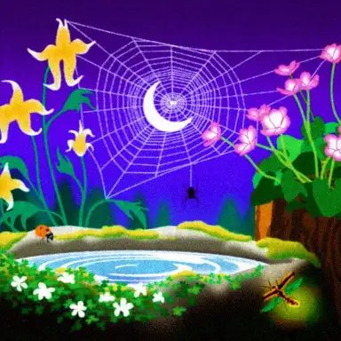 dreamweaver