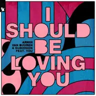 I Should Be Loving You
