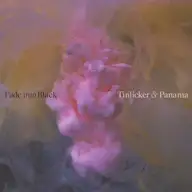 Fade Into Black (club mix)