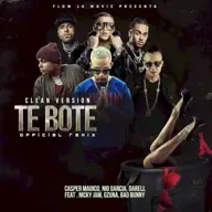 Te boté (remix)