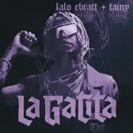 La gatita