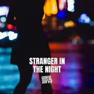 Stranger in the Night