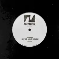 Love Me Again (Again)